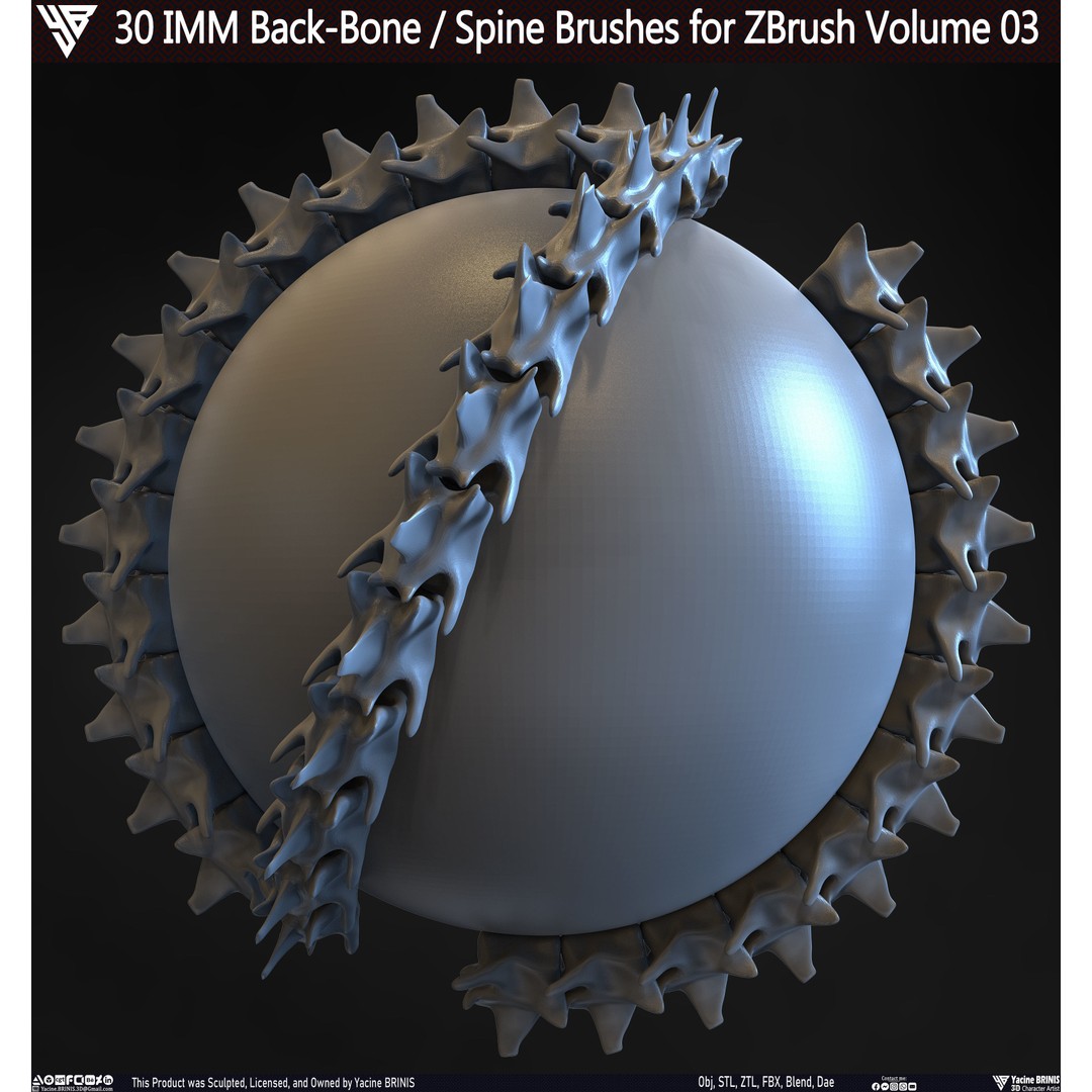 30 IMM Back-Bone 3D Model – Low Poly ZBrush Brushes for Anatomy - View 25