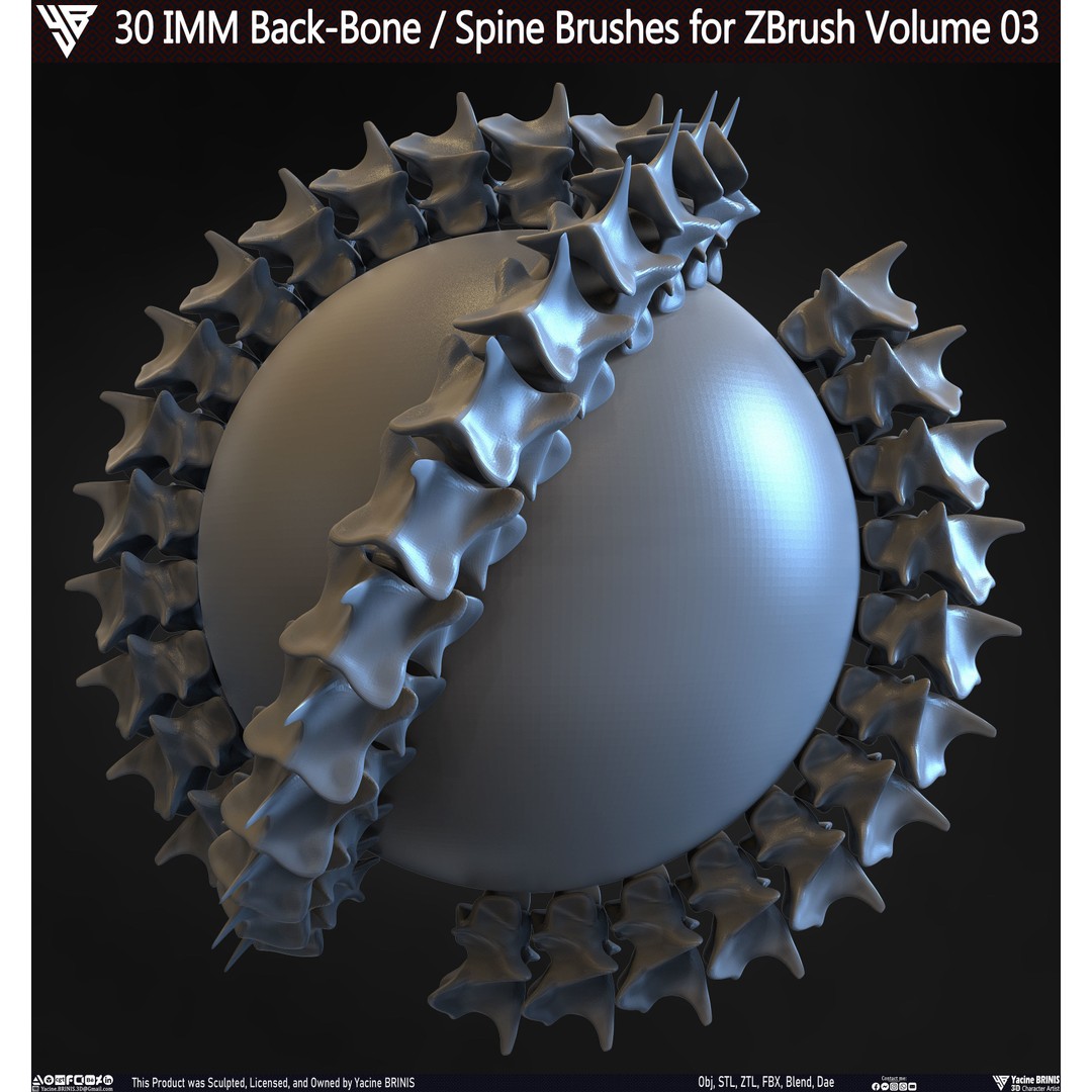 30 IMM Back-Bone 3D Model – Low Poly ZBrush Brushes for Anatomy - View 26