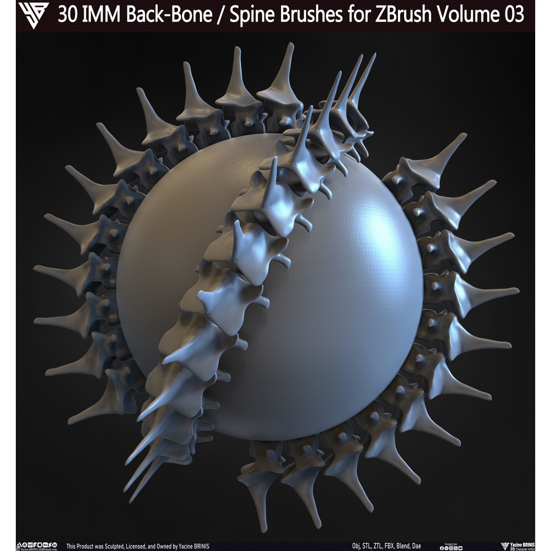 30 IMM Back-Bone 3D Model – Low Poly ZBrush Brushes for Anatomy - View 27