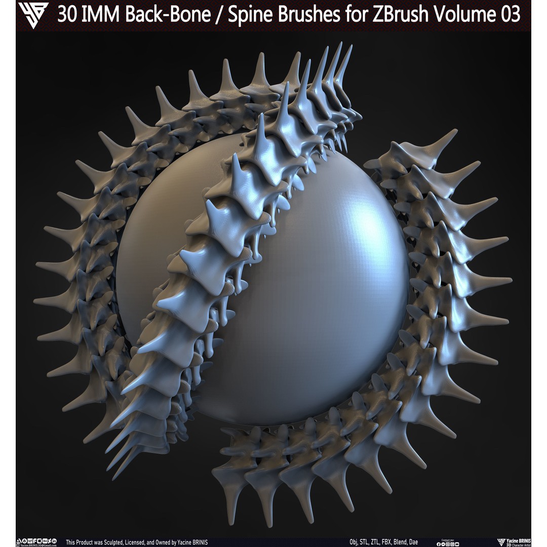 30 IMM Back-Bone 3D Model – Low Poly ZBrush Brushes for Anatomy - View 28