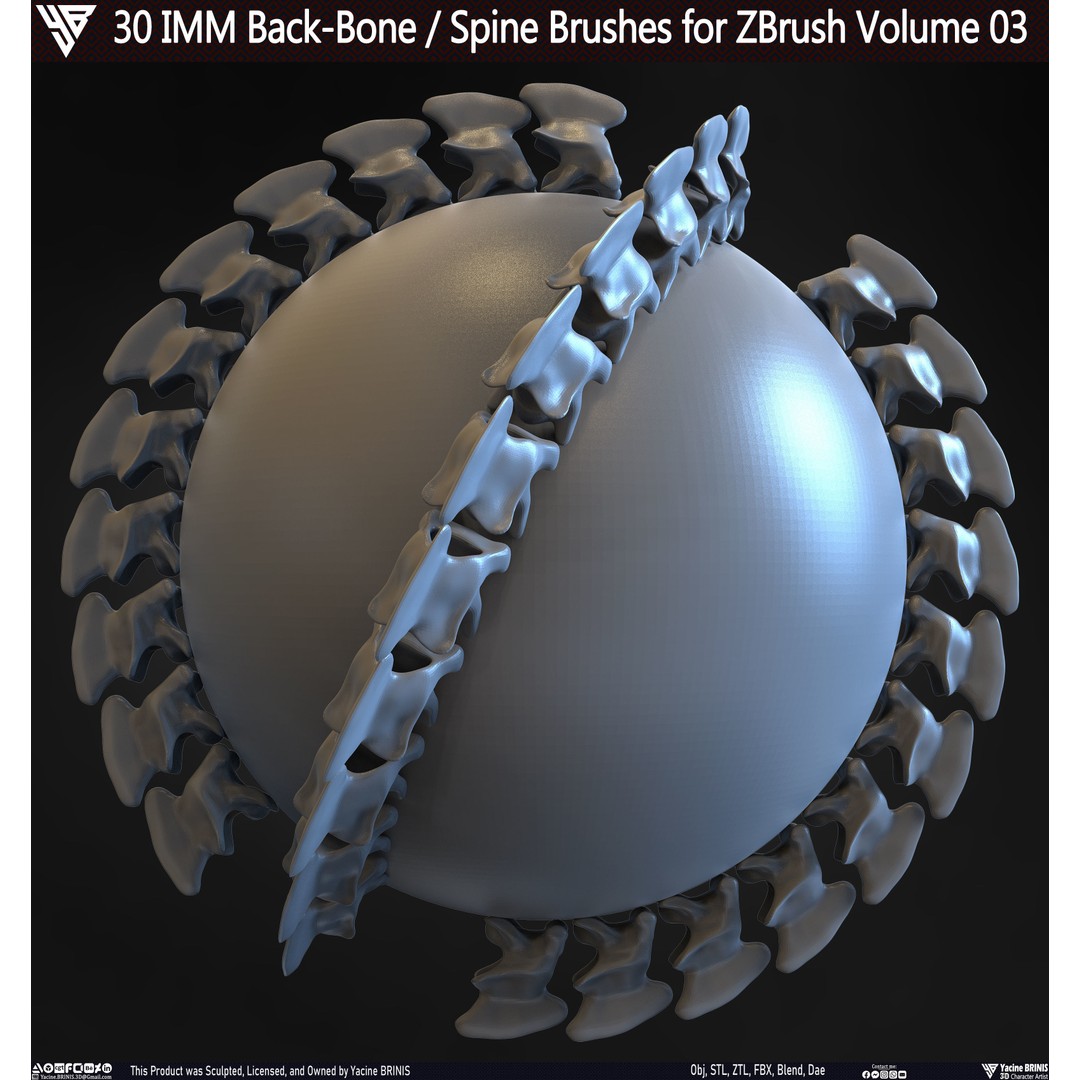 30 IMM Back-Bone 3D Model – Low Poly ZBrush Brushes for Anatomy - View 29