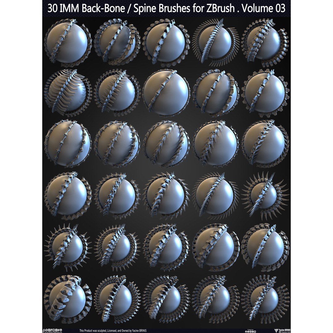 30 IMM Back-Bone 3D Model – Low Poly ZBrush Brushes for Anatomy - View 3