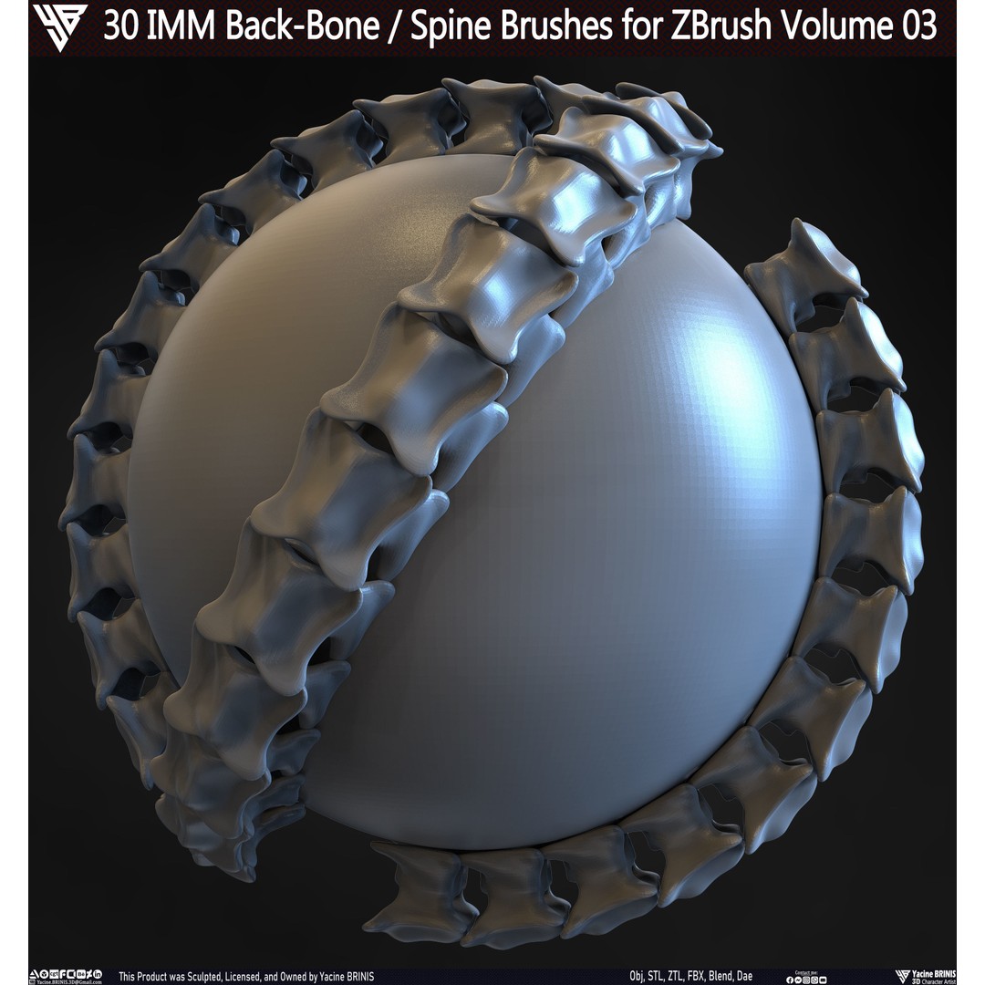 30 IMM Back-Bone 3D Model – Low Poly ZBrush Brushes for Anatomy - View 30