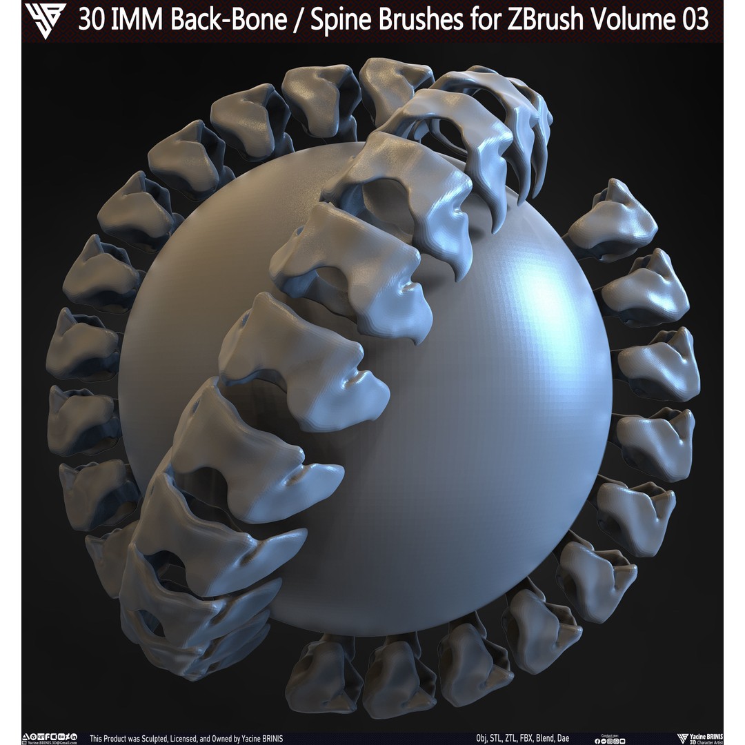 30 IMM Back-Bone 3D Model – Low Poly ZBrush Brushes for Anatomy - View 31