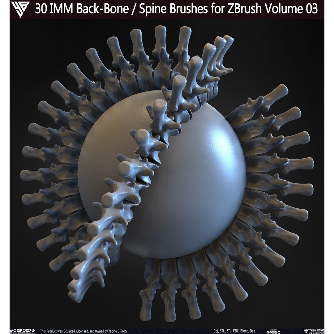30 IMM Back-Bone 3D Model – Low Poly ZBrush Brushes for Anatomy - View 32