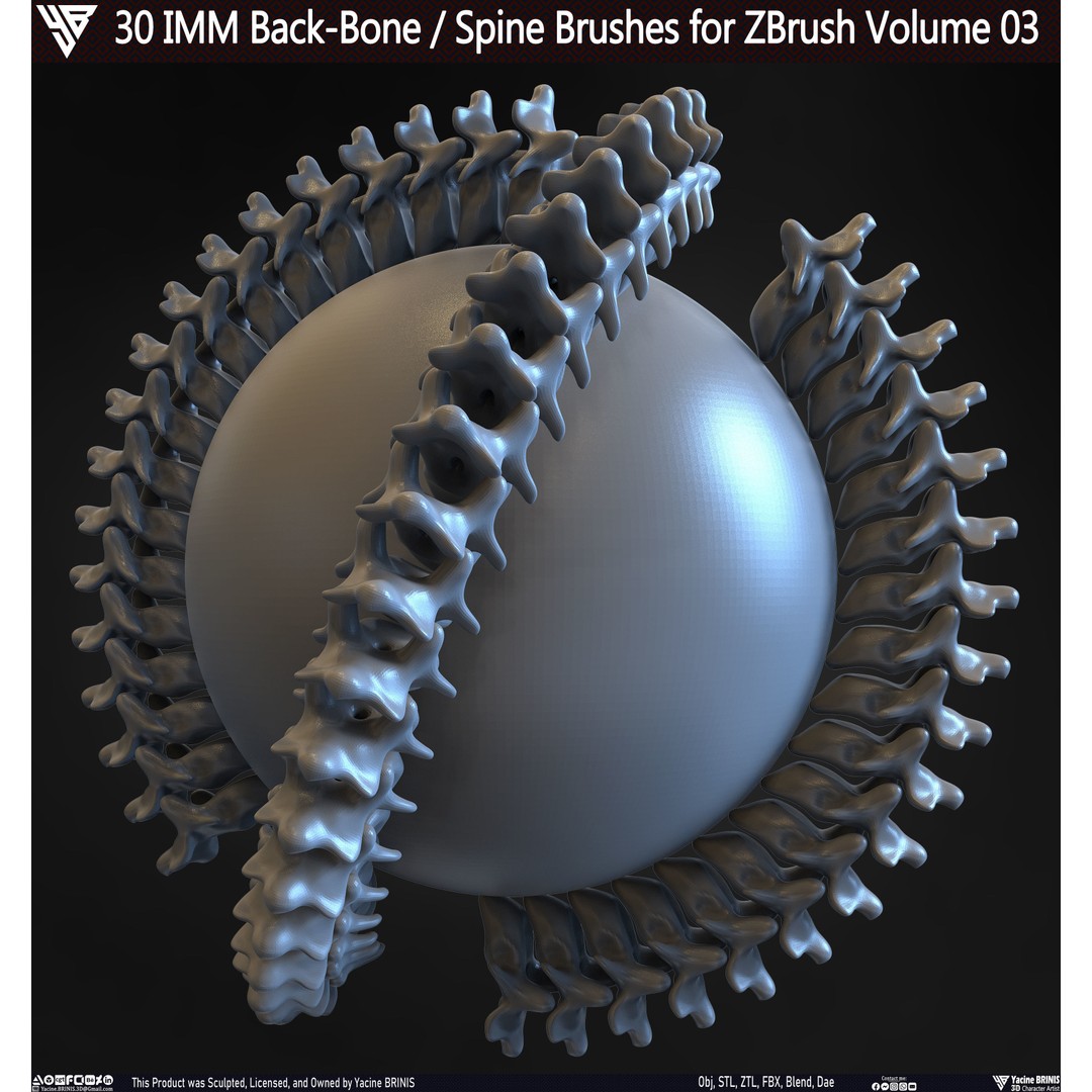 30 IMM Back-Bone 3D Model – Low Poly ZBrush Brushes for Anatomy - View 33