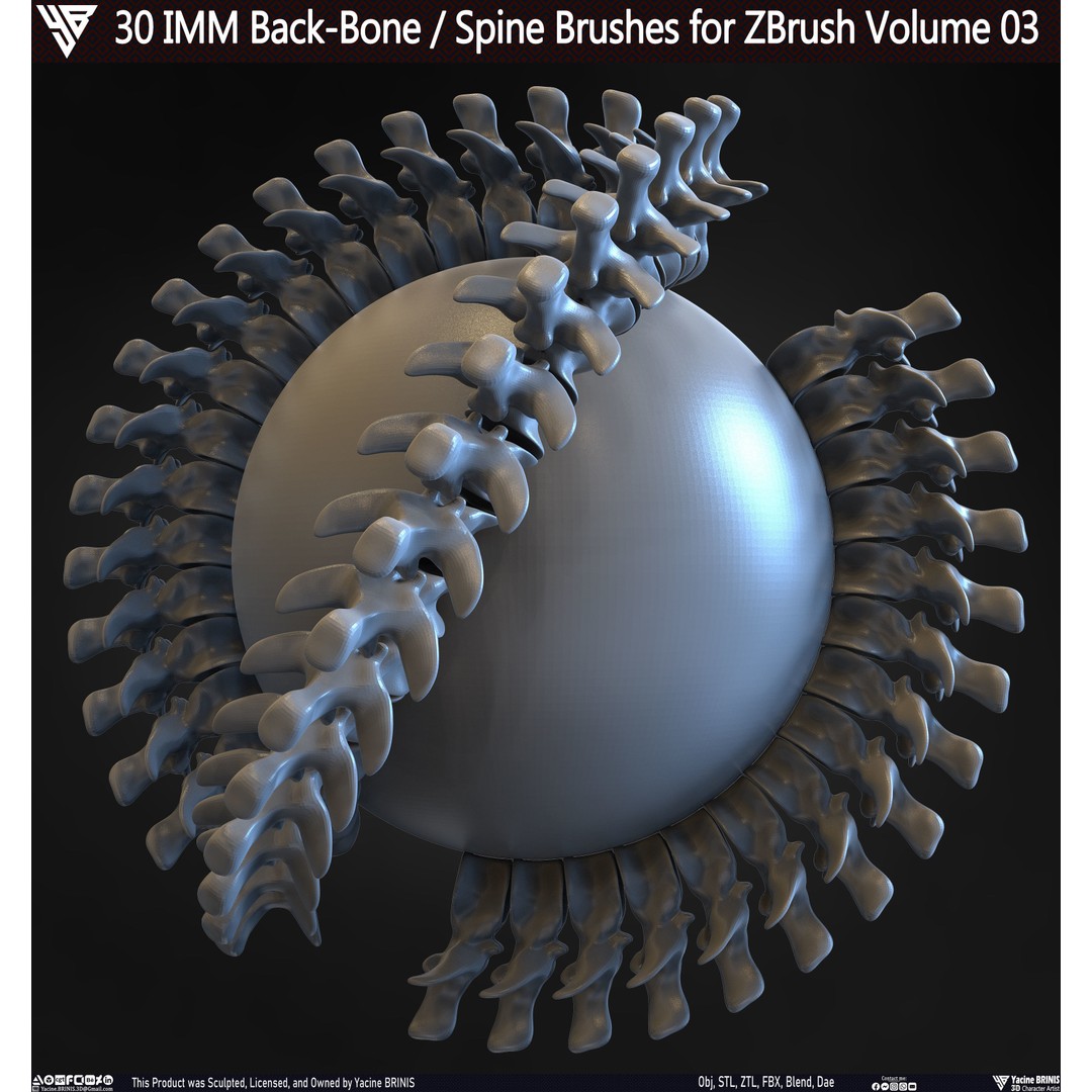 30 IMM Back-Bone 3D Model – Low Poly ZBrush Brushes for Anatomy - View 34