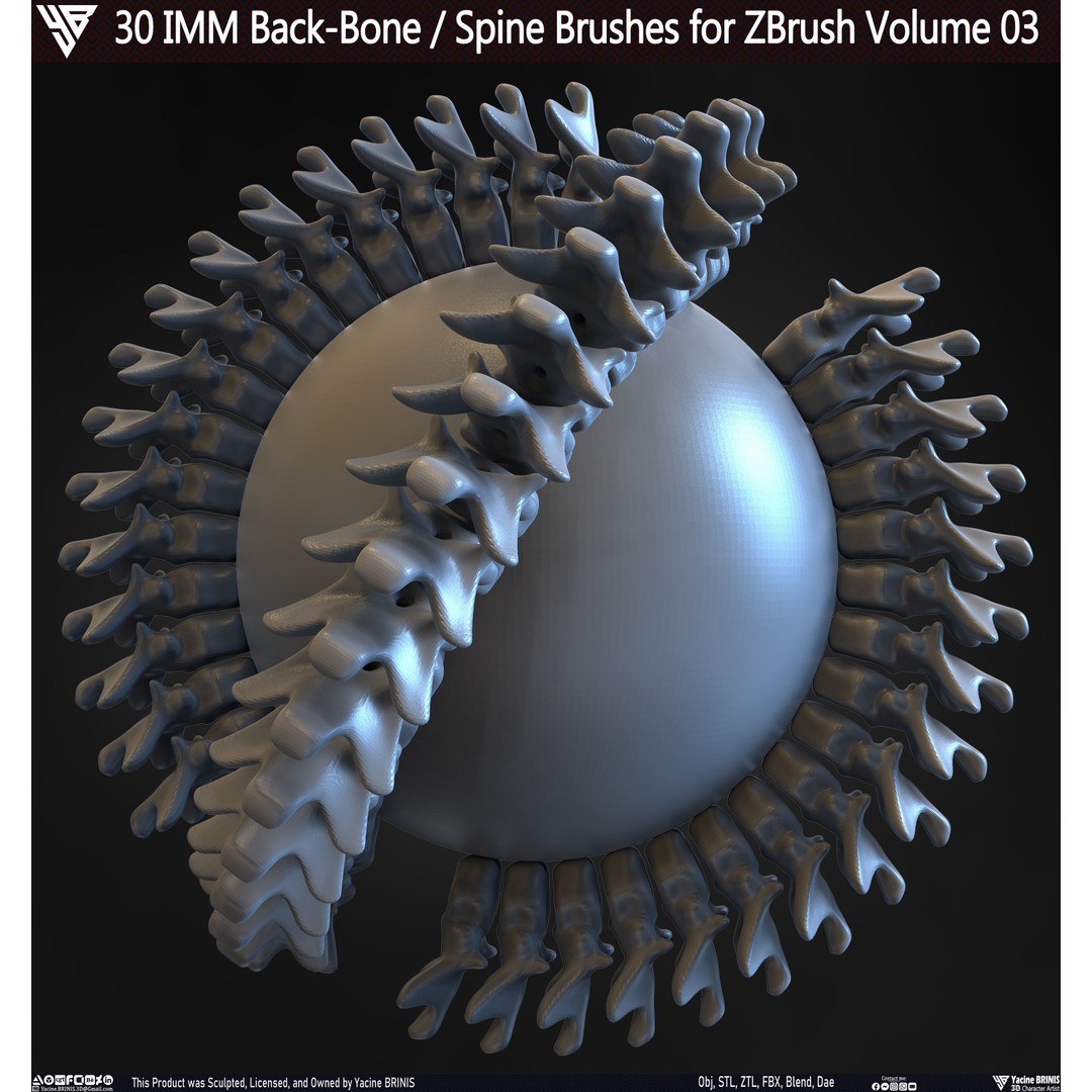 30 IMM Back-Bone 3D Model – Low Poly ZBrush Brushes for Anatomy - View 35