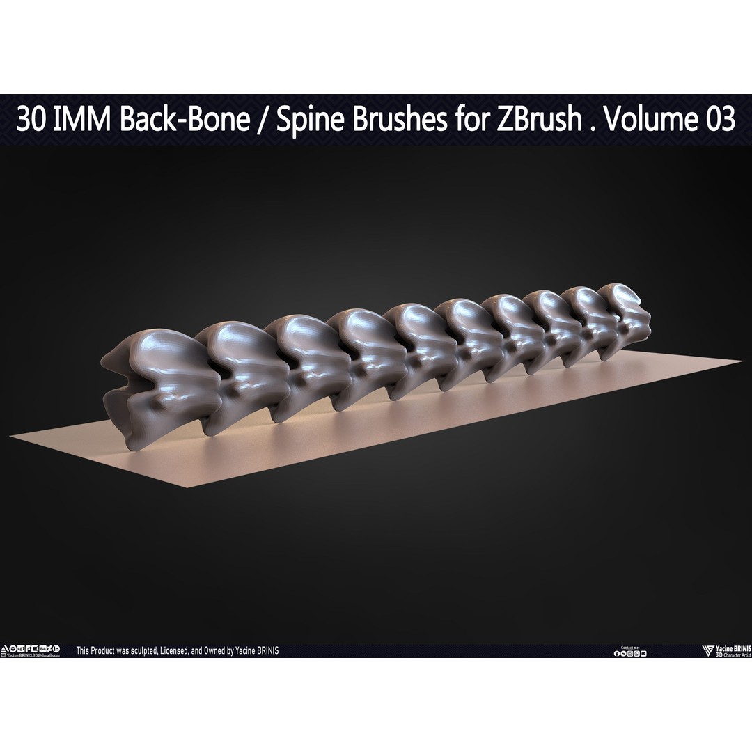 30 IMM Back-Bone 3D Model – Low Poly ZBrush Brushes for Anatomy - View 36