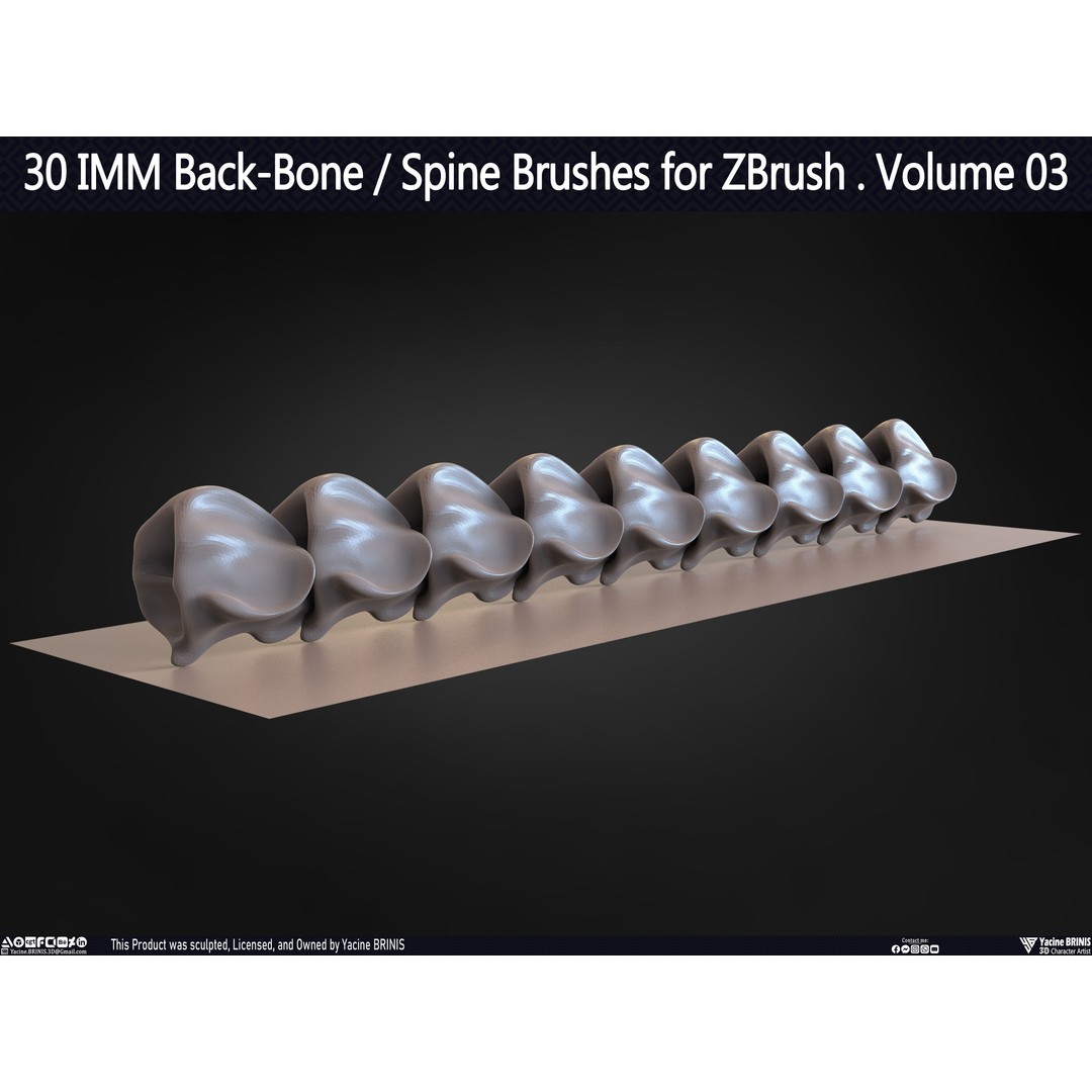 30 IMM Back-Bone 3D Model – Low Poly ZBrush Brushes for Anatomy - View 37