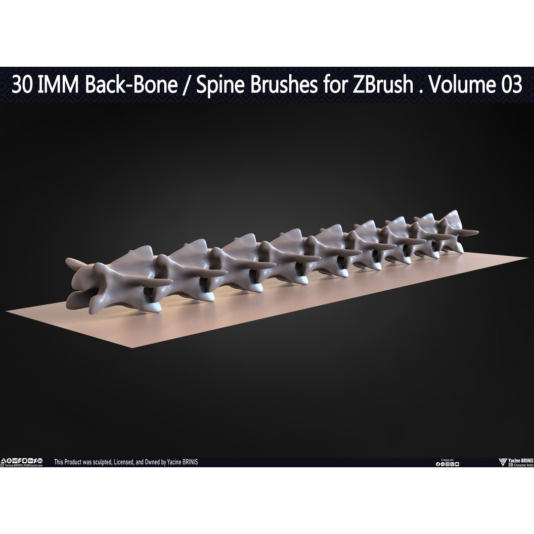 30 IMM Back-Bone 3D Model – Low Poly ZBrush Brushes for Anatomy - View 38