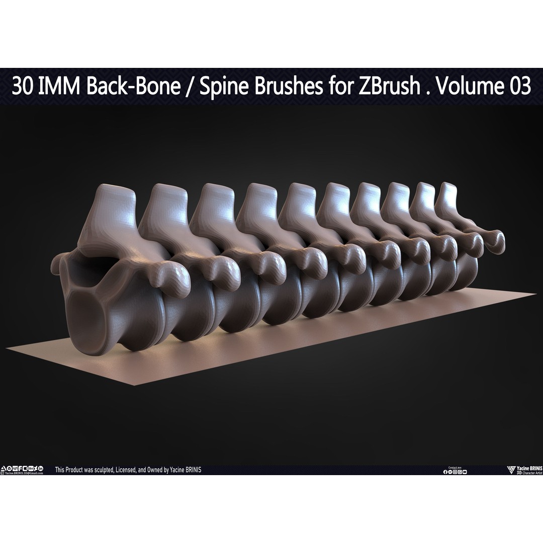 30 IMM Back-Bone 3D Model – Low Poly ZBrush Brushes for Anatomy - View 39
