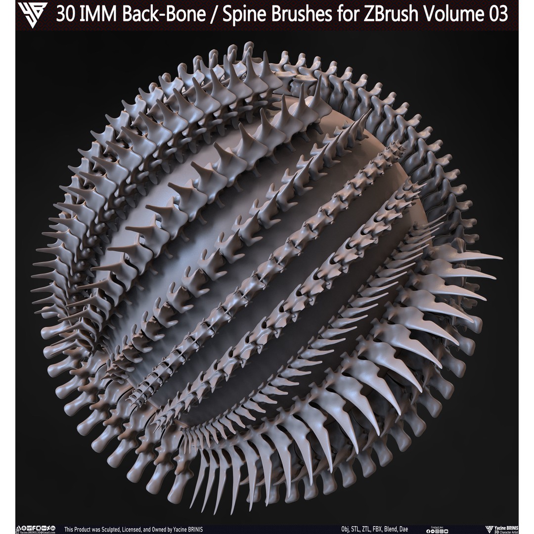 30 IMM Back-Bone 3D Model – Low Poly ZBrush Brushes for Anatomy - View 4