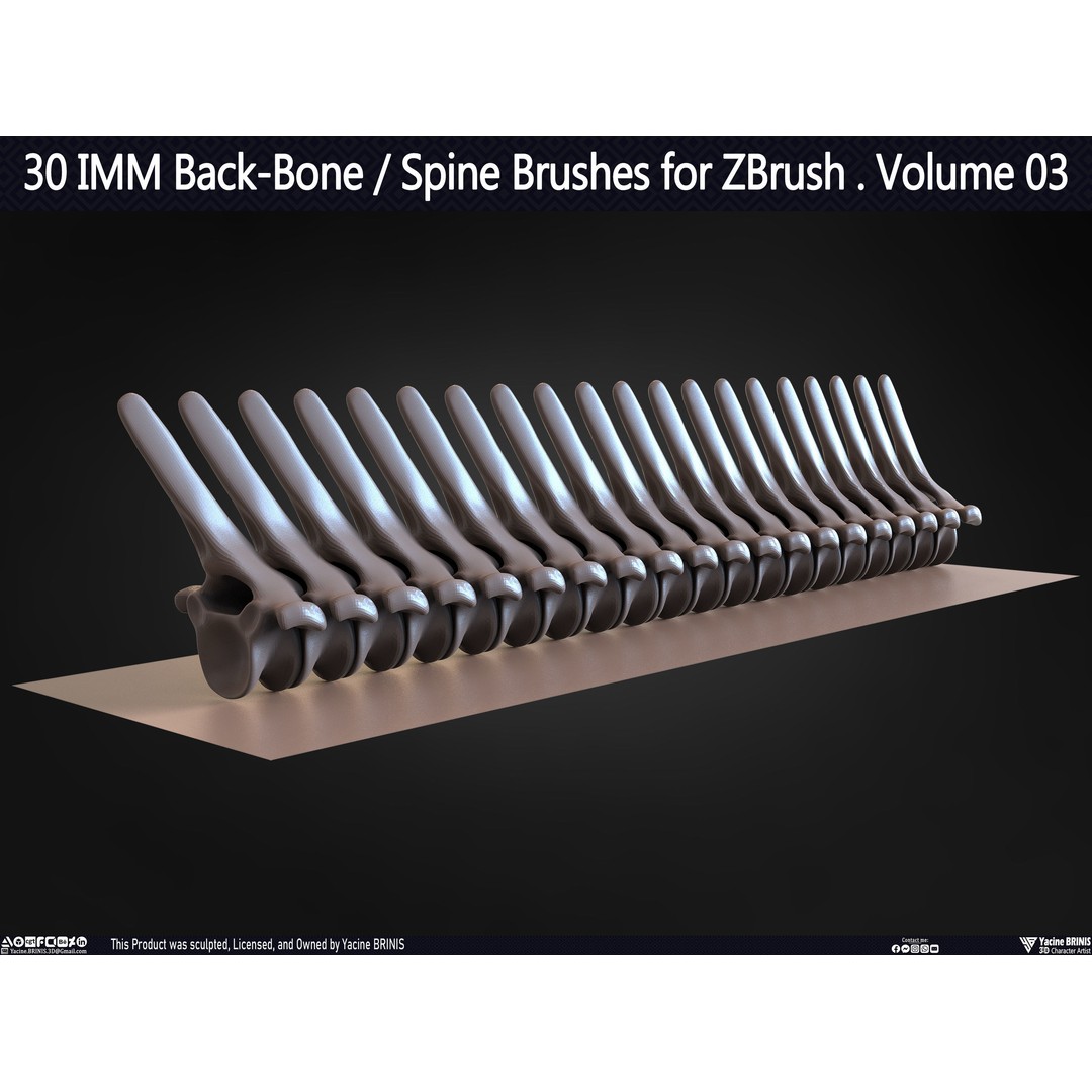 30 IMM Back-Bone 3D Model – Low Poly ZBrush Brushes for Anatomy - View 40