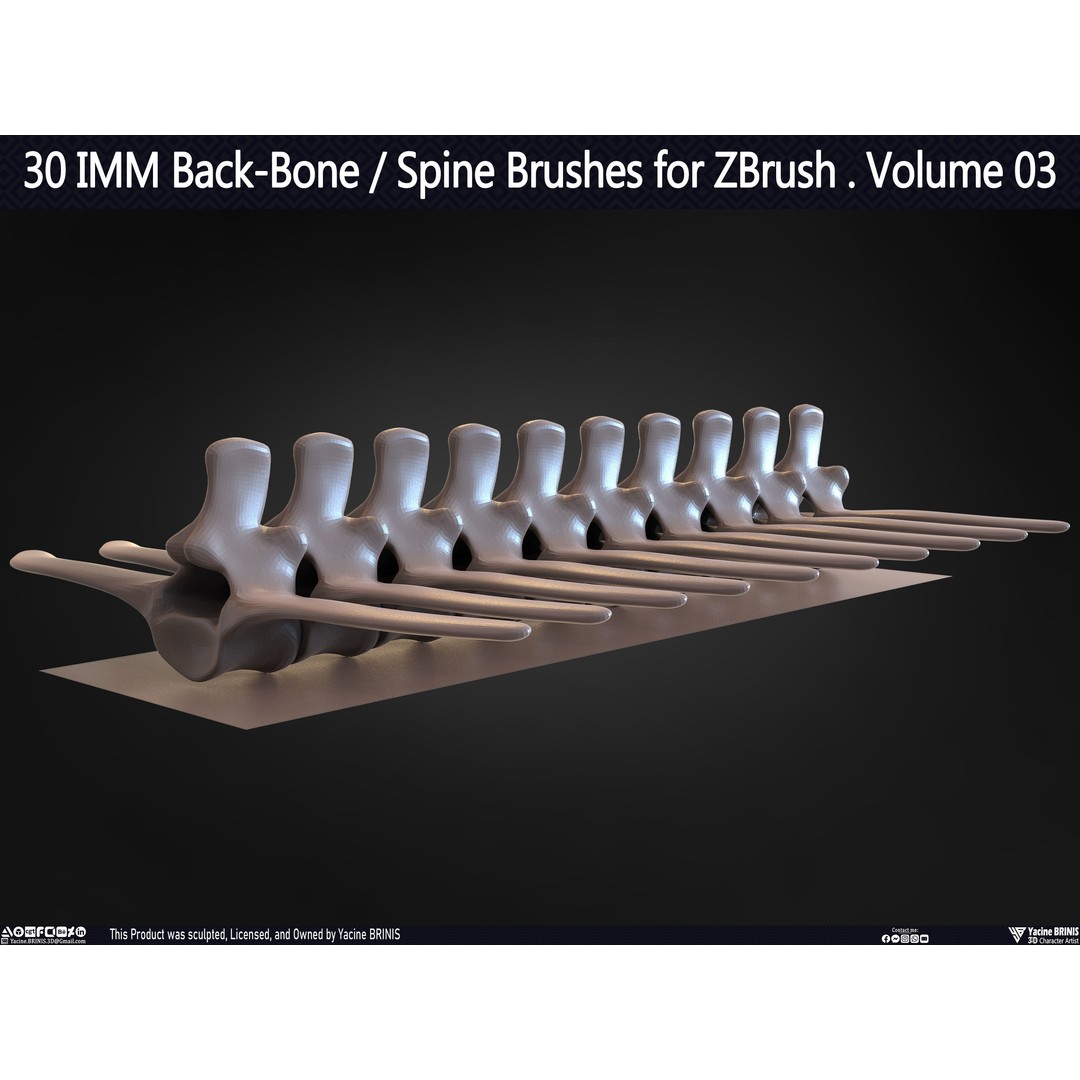 30 IMM Back-Bone 3D Model – Low Poly ZBrush Brushes for Anatomy - View 41