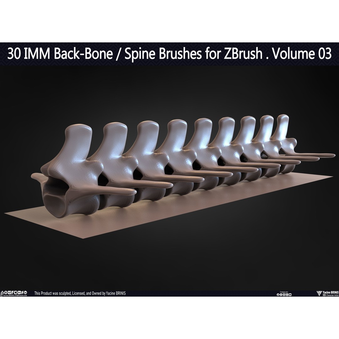 30 IMM Back-Bone 3D Model – Low Poly ZBrush Brushes for Anatomy - View 42