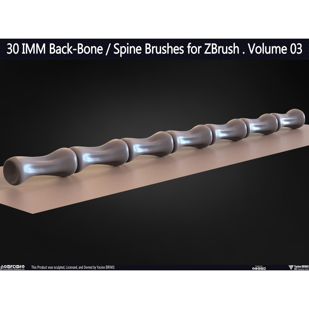 30 IMM Back-Bone 3D Model – Low Poly ZBrush Brushes for Anatomy - View 43