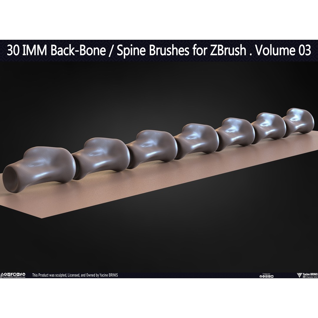 30 IMM Back-Bone 3D Model – Low Poly ZBrush Brushes for Anatomy - View 44