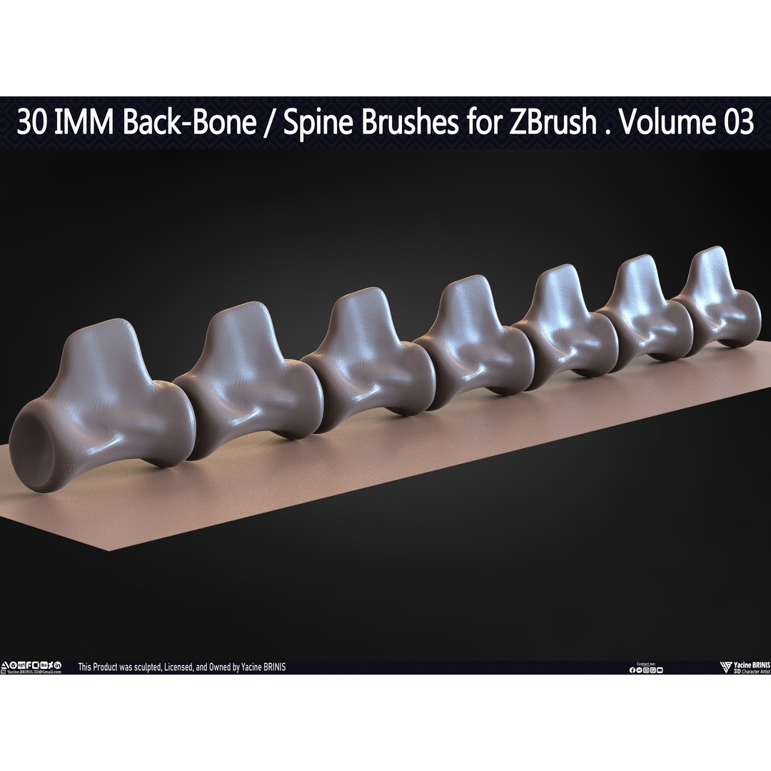 30 IMM Back-Bone 3D Model – Low Poly ZBrush Brushes for Anatomy - View 45