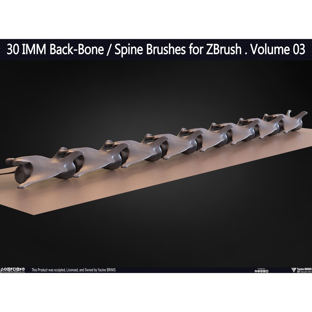30 IMM Back-Bone 3D Model – Low Poly ZBrush Brushes for Anatomy - View 46