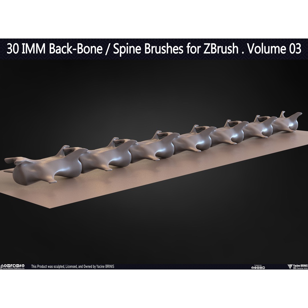 30 IMM Back-Bone 3D Model – Low Poly ZBrush Brushes for Anatomy - View 47