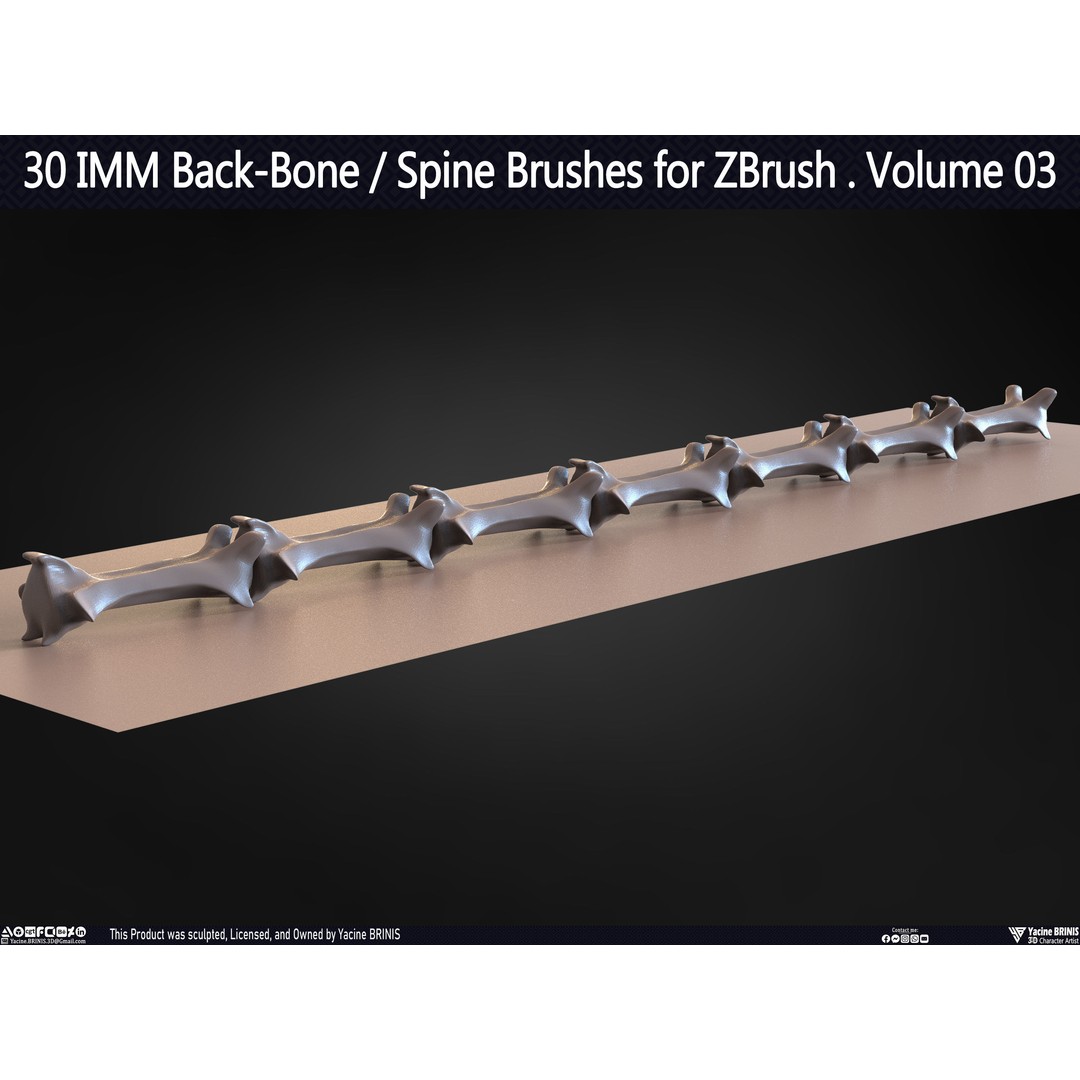 30 IMM Back-Bone 3D Model – Low Poly ZBrush Brushes for Anatomy - View 48