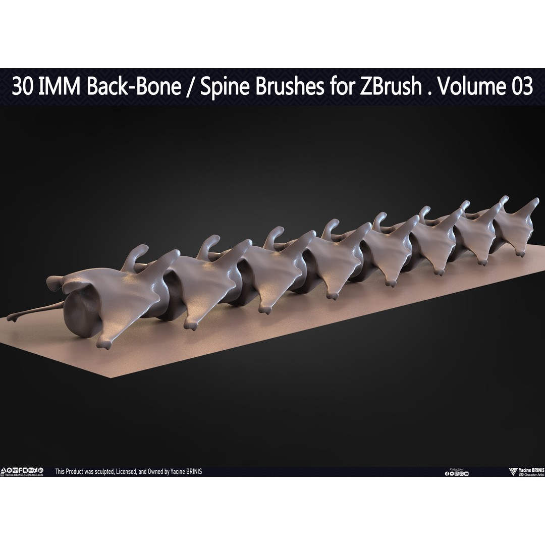 30 IMM Back-Bone 3D Model – Low Poly ZBrush Brushes for Anatomy - View 49