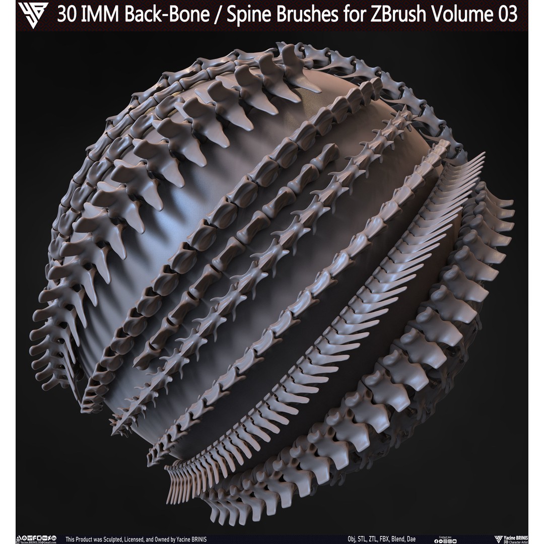 30 IMM Back-Bone 3D Model – Low Poly ZBrush Brushes for Anatomy - View 5