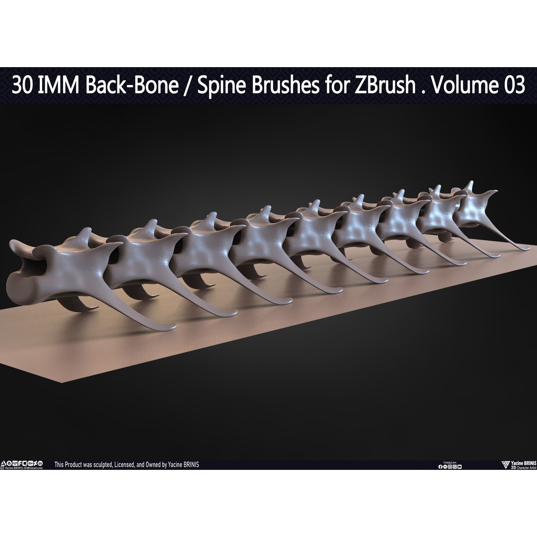 30 IMM Back-Bone 3D Model – Low Poly ZBrush Brushes for Anatomy - View 50