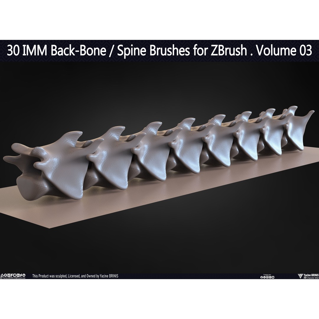 30 IMM Back-Bone 3D Model – Low Poly ZBrush Brushes for Anatomy - View 51