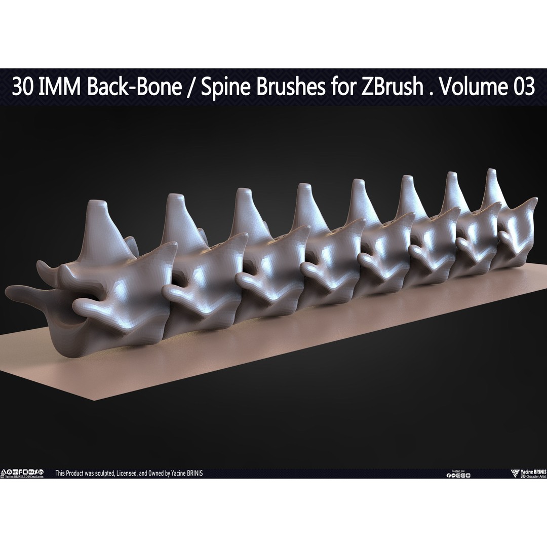 30 IMM Back-Bone 3D Model – Low Poly ZBrush Brushes for Anatomy - View 52