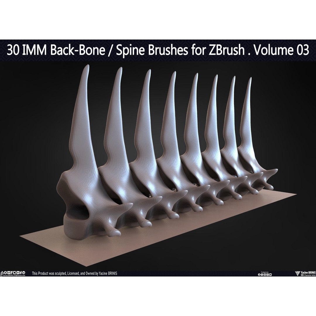30 IMM Back-Bone 3D Model – Low Poly ZBrush Brushes for Anatomy - View 53