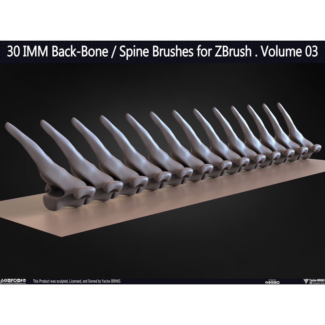 30 IMM Back-Bone 3D Model – Low Poly ZBrush Brushes for Anatomy - View 54