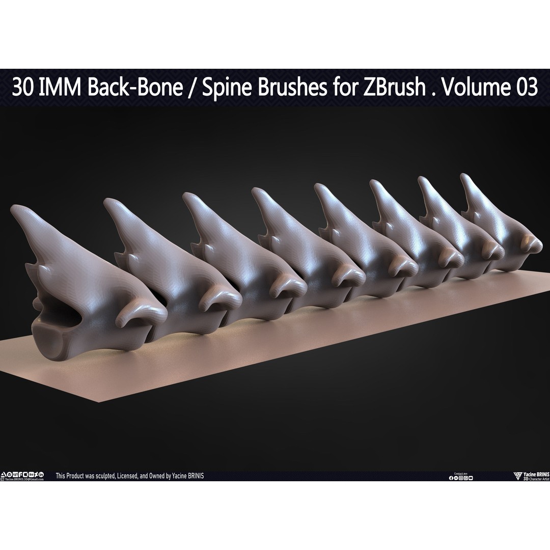 30 IMM Back-Bone 3D Model – Low Poly ZBrush Brushes for Anatomy - View 55