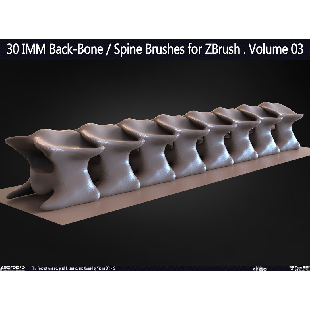30 IMM Back-Bone 3D Model – Low Poly ZBrush Brushes for Anatomy - View 56