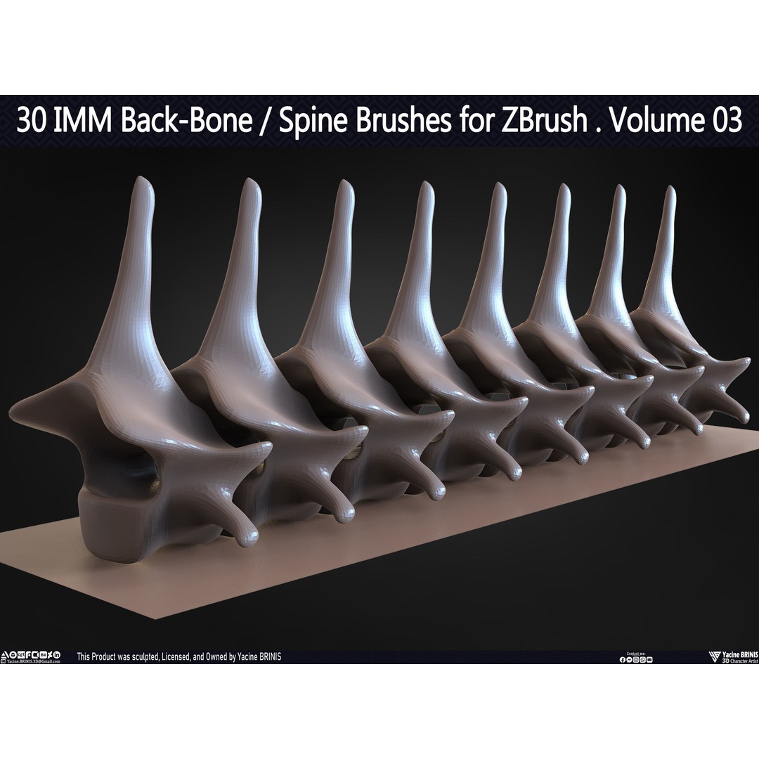 30 IMM Back-Bone 3D Model – Low Poly ZBrush Brushes for Anatomy - View 57