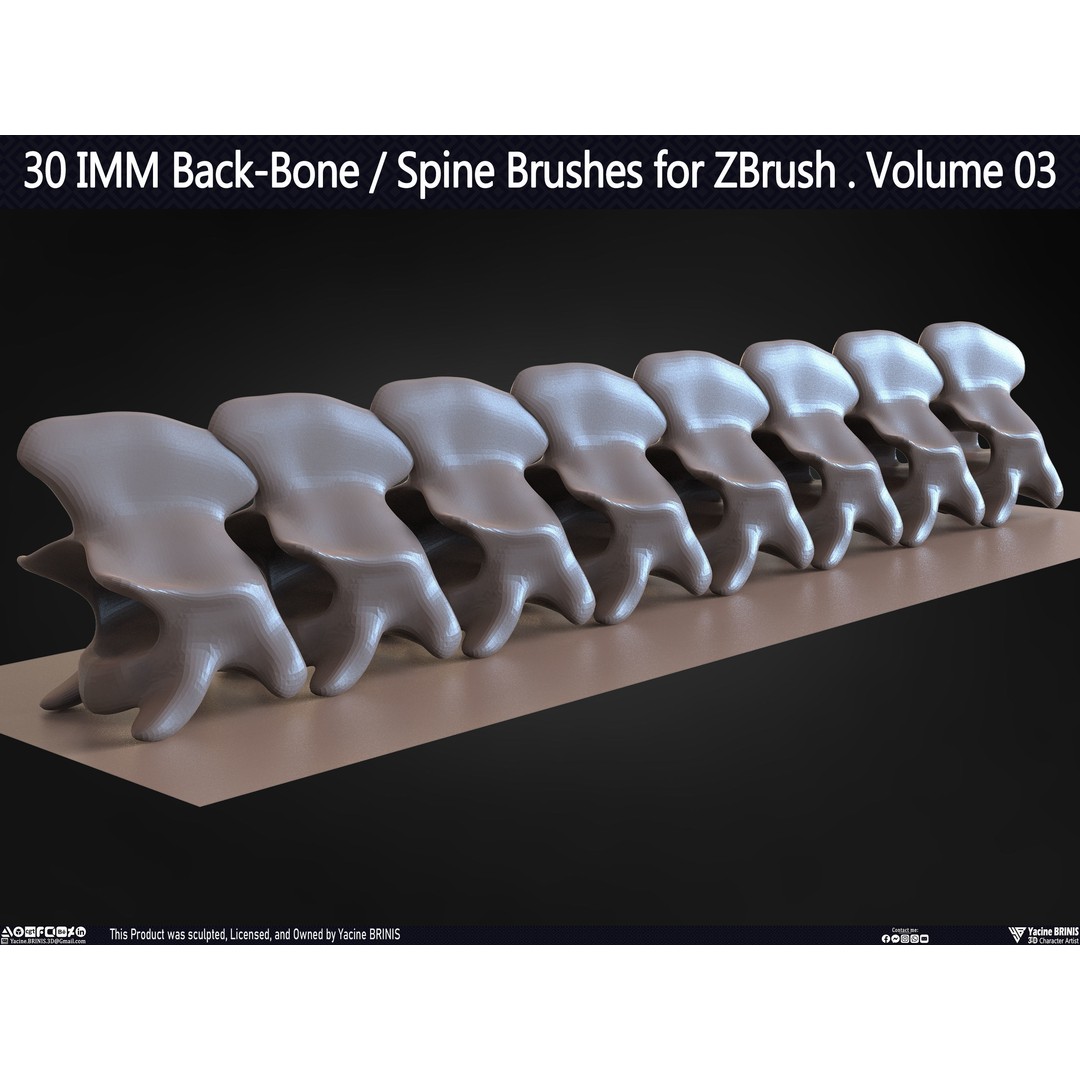 30 IMM Back-Bone 3D Model – Low Poly ZBrush Brushes for Anatomy - View 58