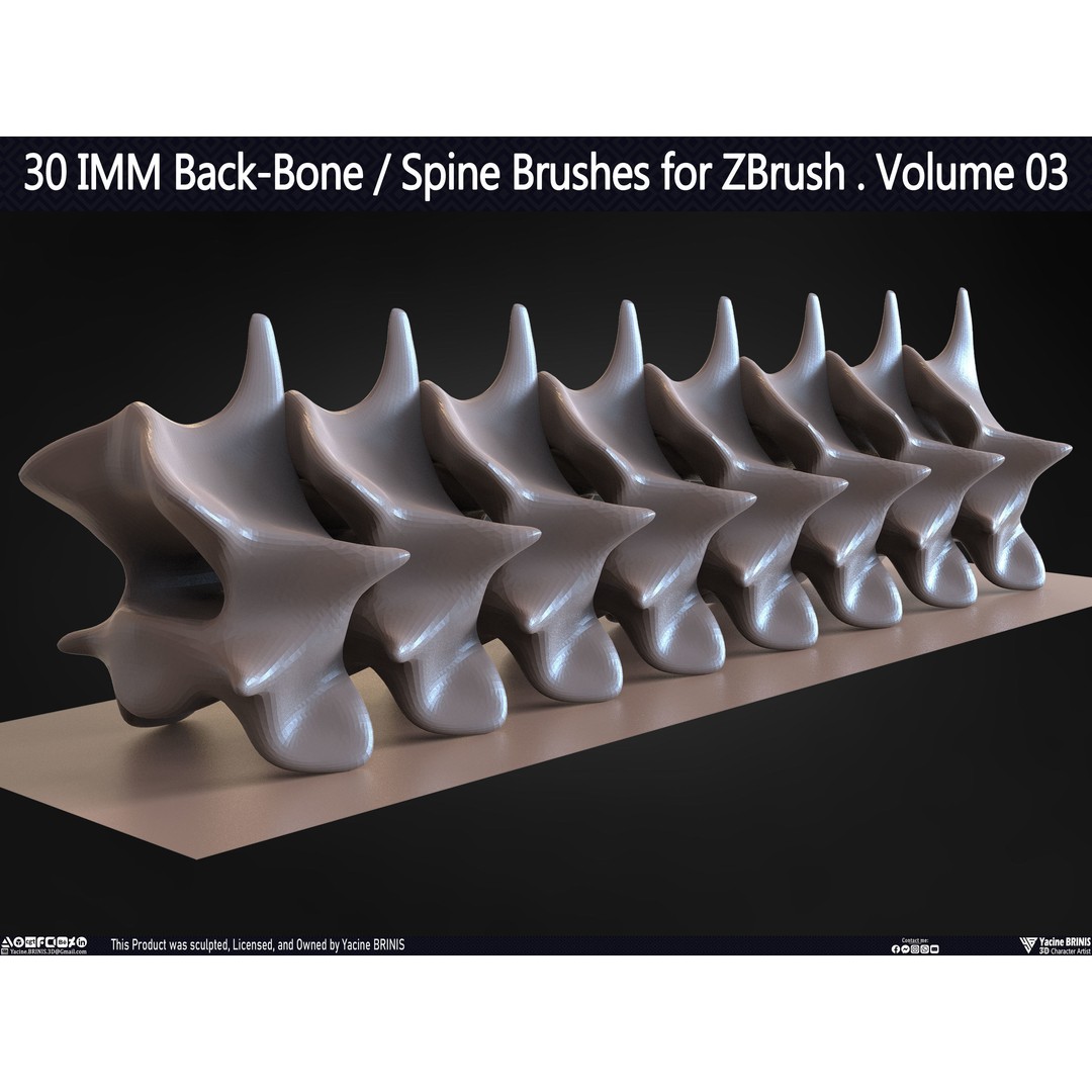 30 IMM Back-Bone 3D Model – Low Poly ZBrush Brushes for Anatomy - View 59