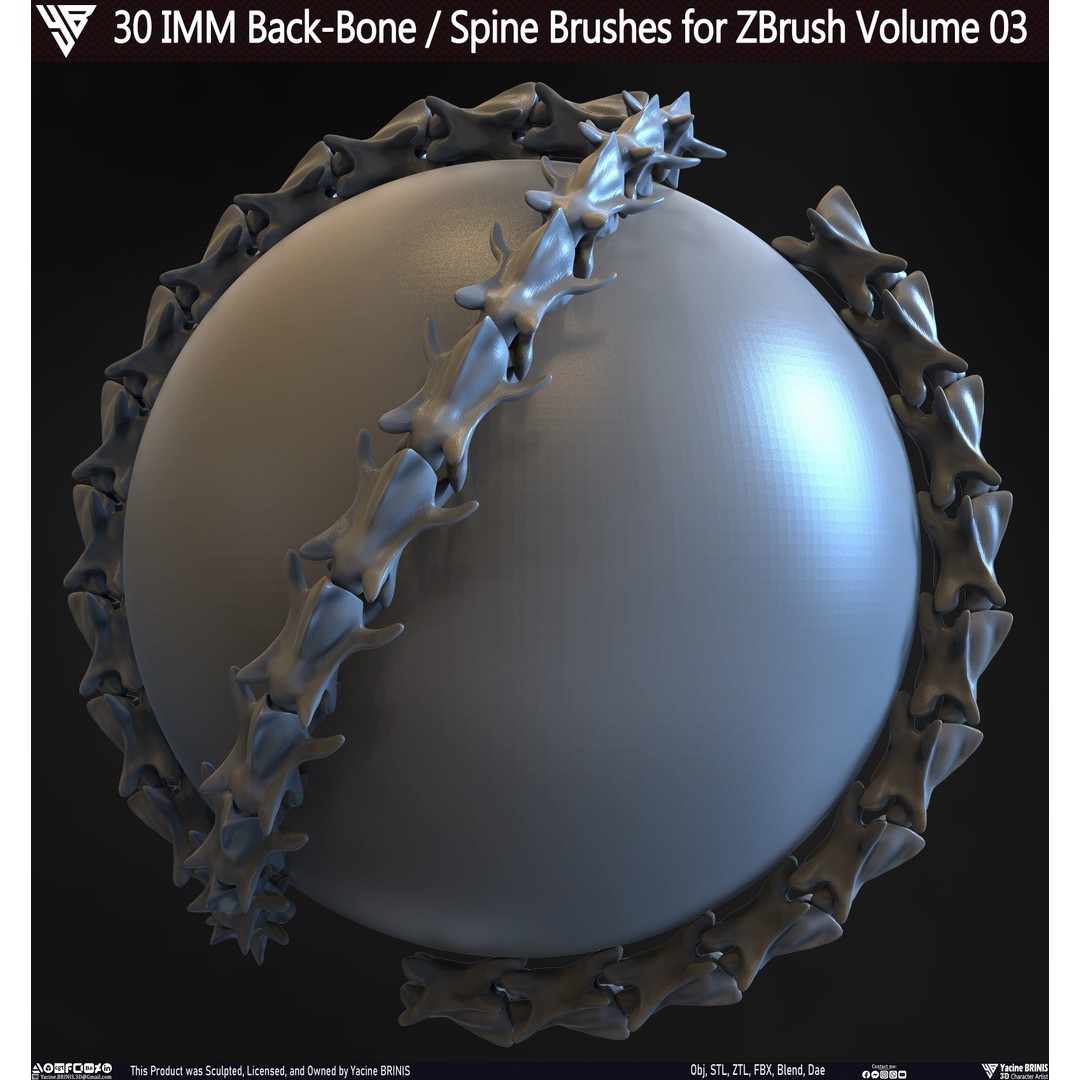 30 IMM Back-Bone 3D Model – Low Poly ZBrush Brushes for Anatomy - View 6