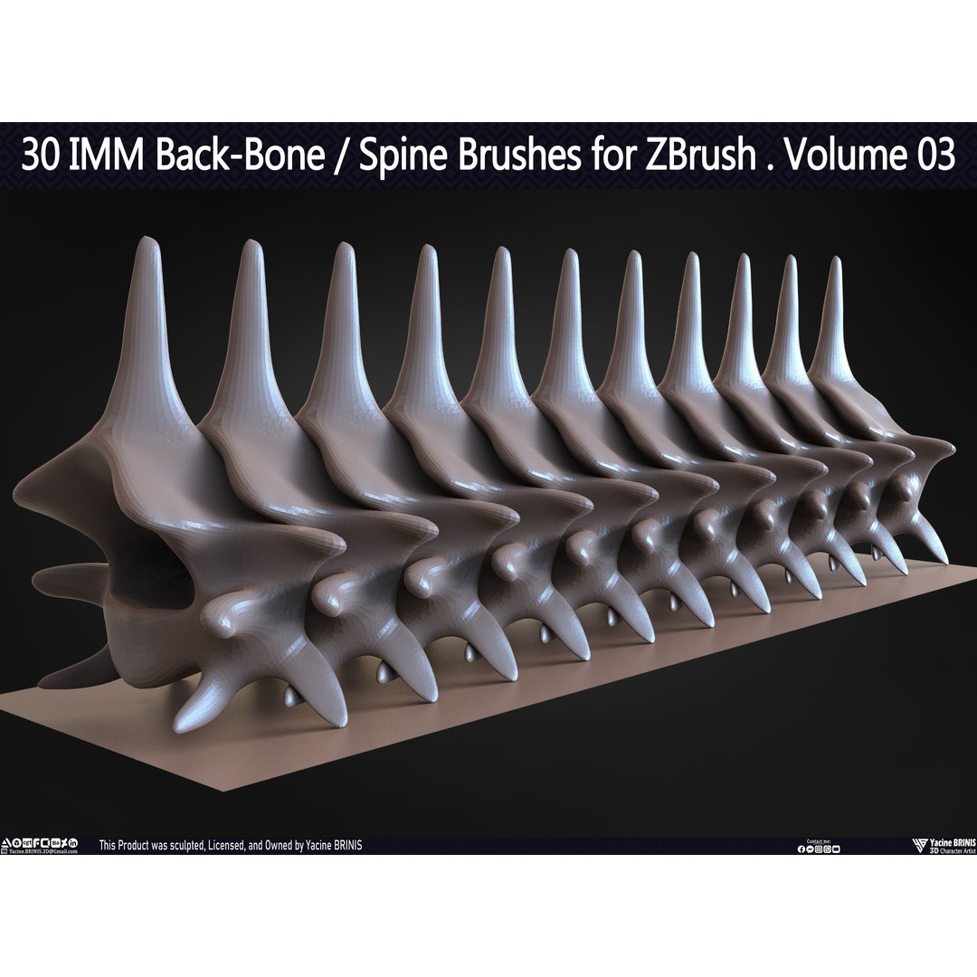 30 IMM Back-Bone 3D Model – Low Poly ZBrush Brushes for Anatomy - View 60