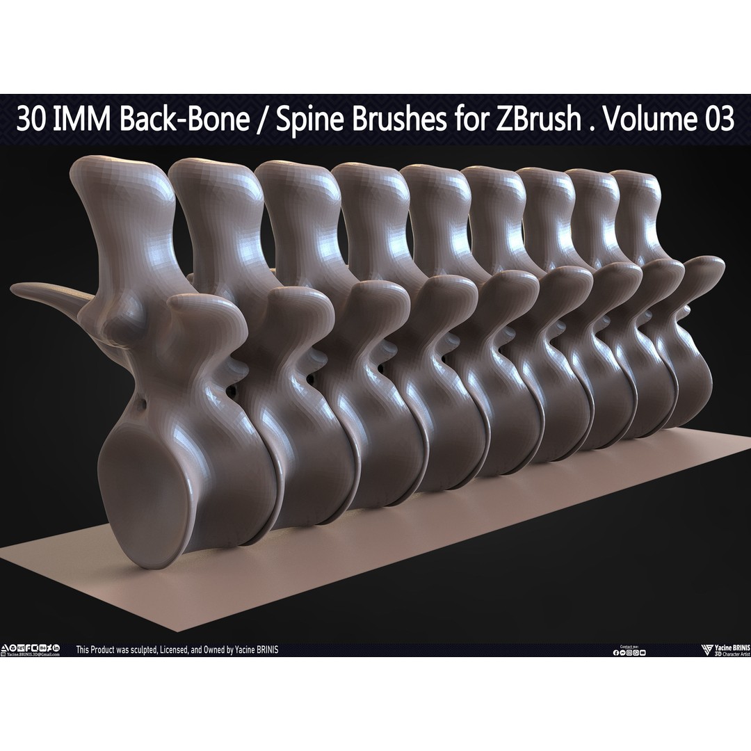 30 IMM Back-Bone 3D Model – Low Poly ZBrush Brushes for Anatomy - View 61