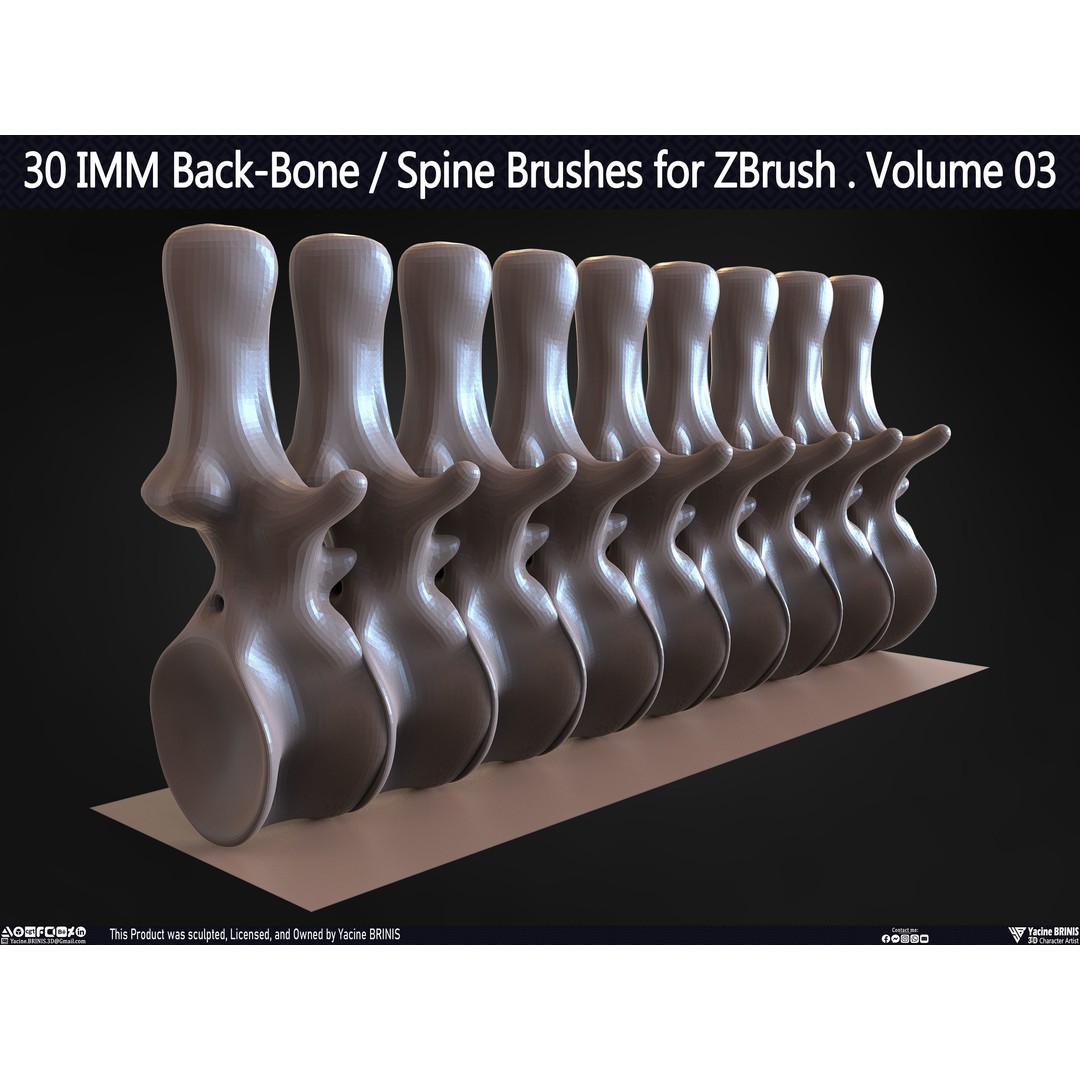 30 IMM Back-Bone 3D Model – Low Poly ZBrush Brushes for Anatomy - View 62