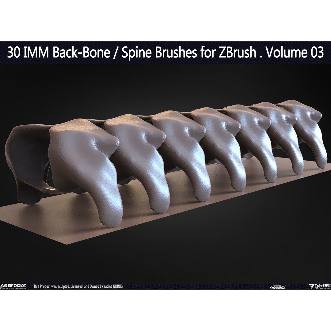 30 IMM Back-Bone 3D Model – Low Poly ZBrush Brushes for Anatomy - View 63
