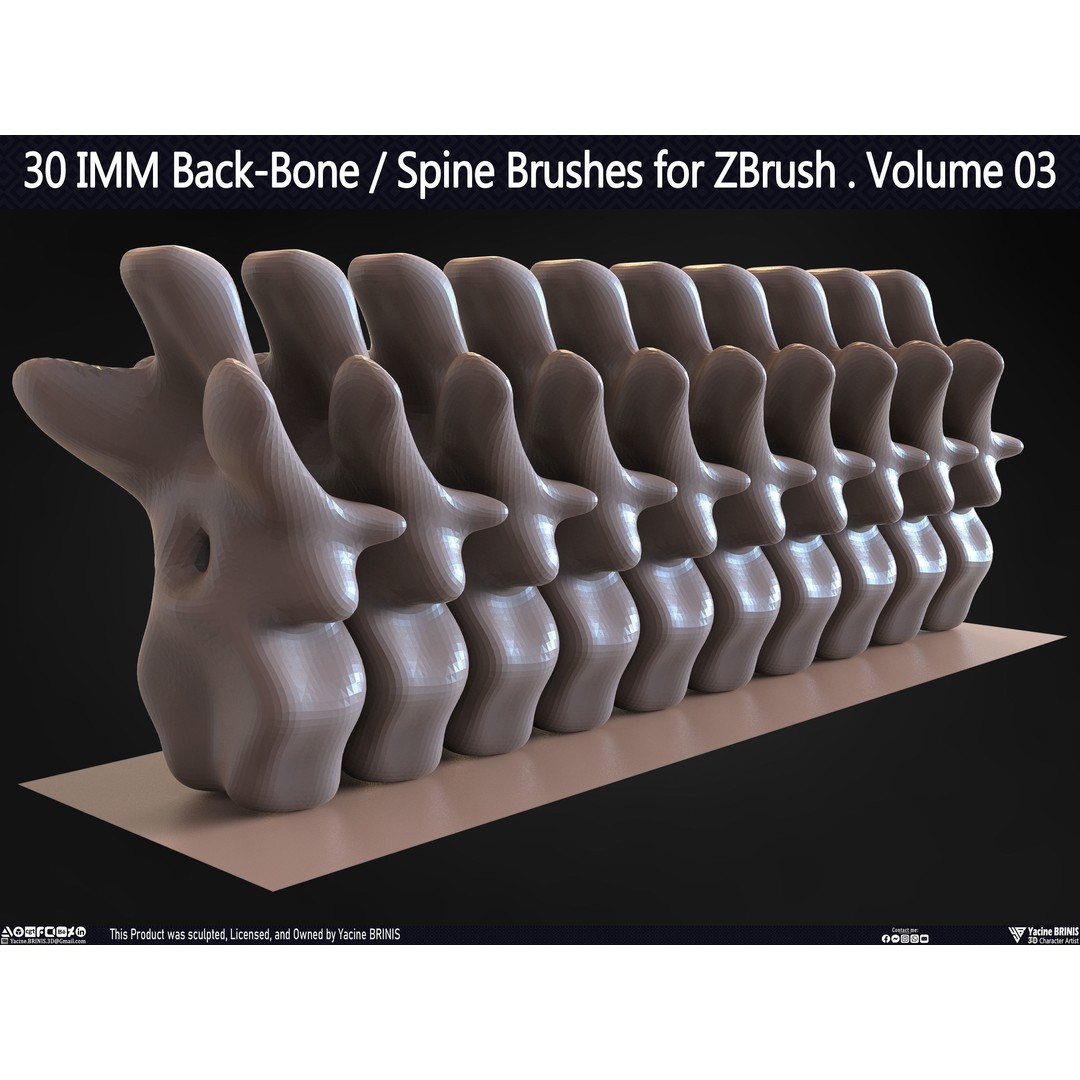 30 IMM Back-Bone 3D Model – Low Poly ZBrush Brushes for Anatomy - View 64