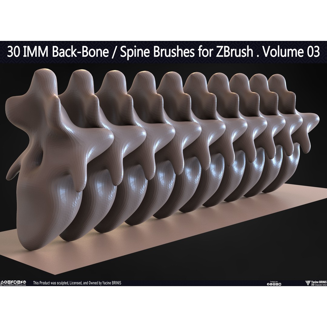 30 IMM Back-Bone 3D Model – Low Poly ZBrush Brushes for Anatomy - View 65