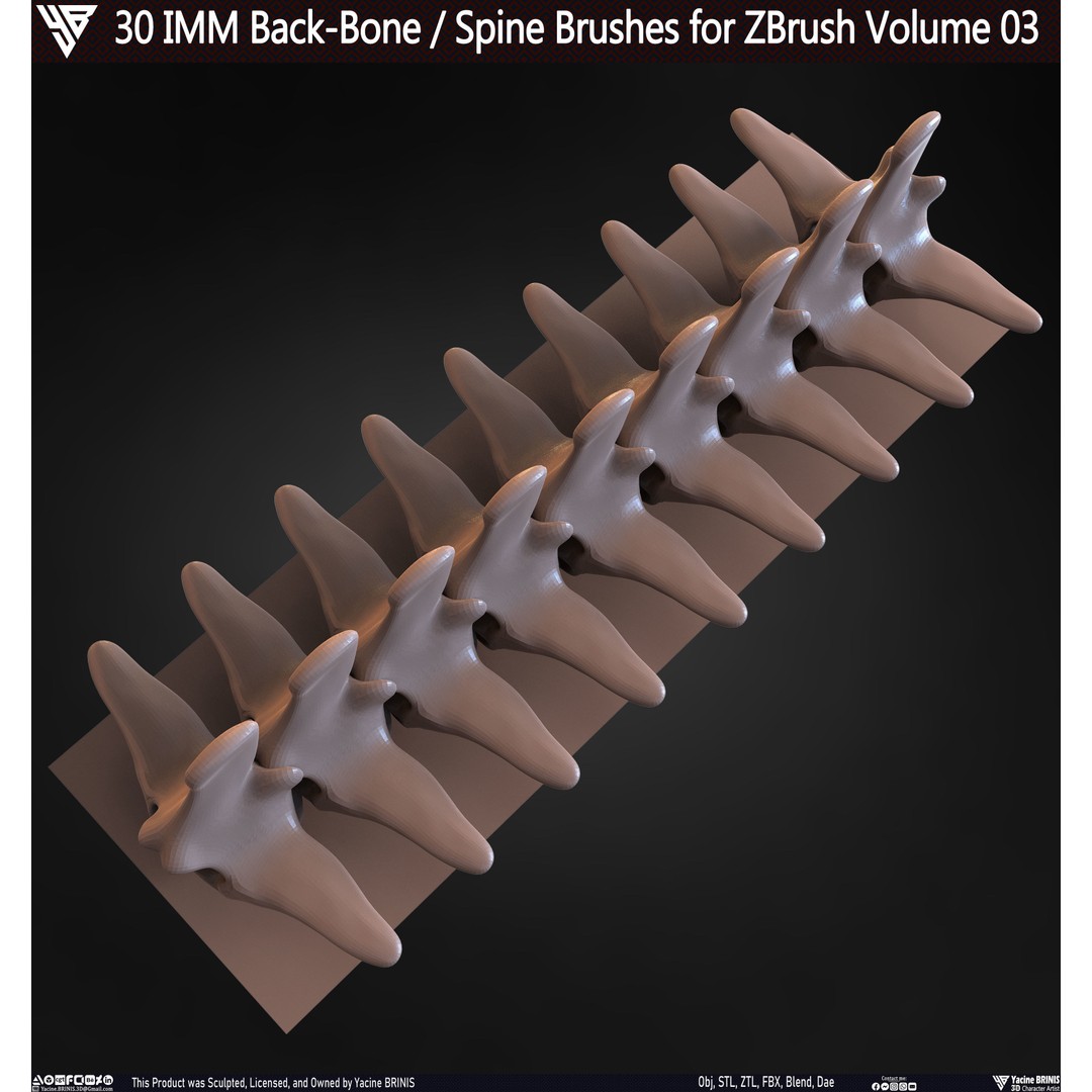 30 IMM Back-Bone 3D Model – Low Poly ZBrush Brushes for Anatomy - View 66