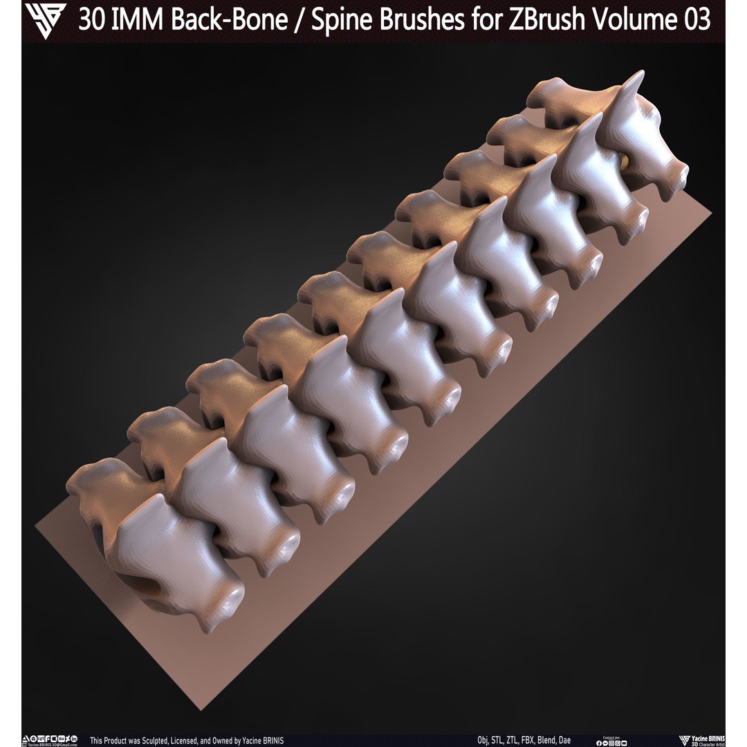 30 IMM Back-Bone 3D Model – Low Poly ZBrush Brushes for Anatomy - View 67