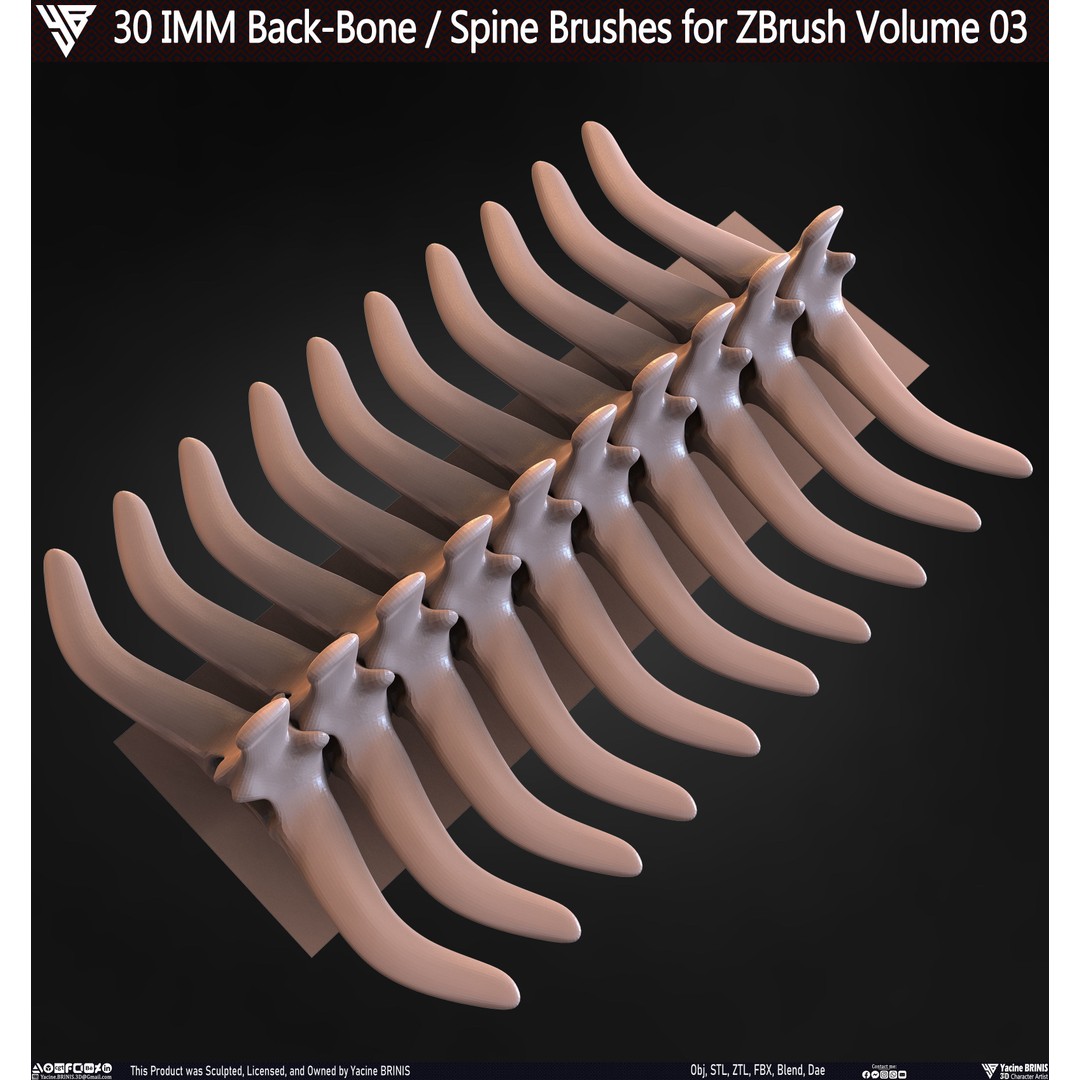 30 IMM Back-Bone 3D Model – Low Poly ZBrush Brushes for Anatomy - View 68