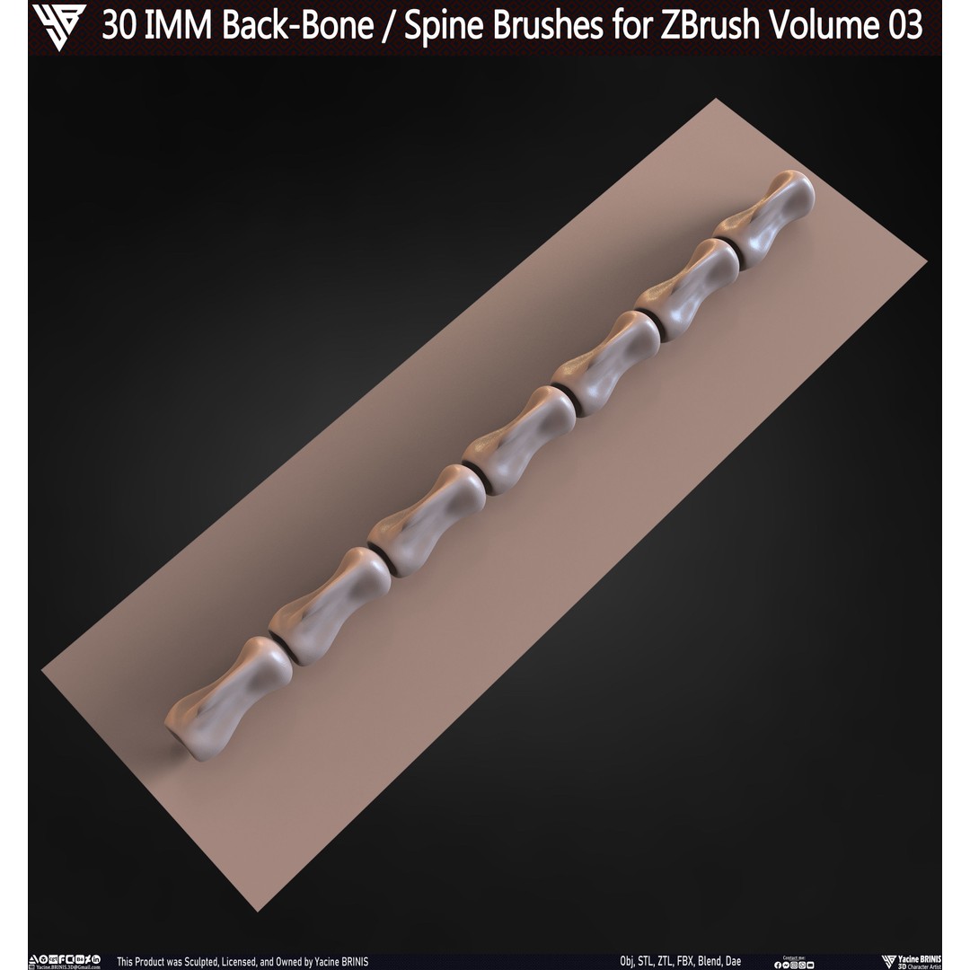 30 IMM Back-Bone 3D Model – Low Poly ZBrush Brushes for Anatomy - View 69