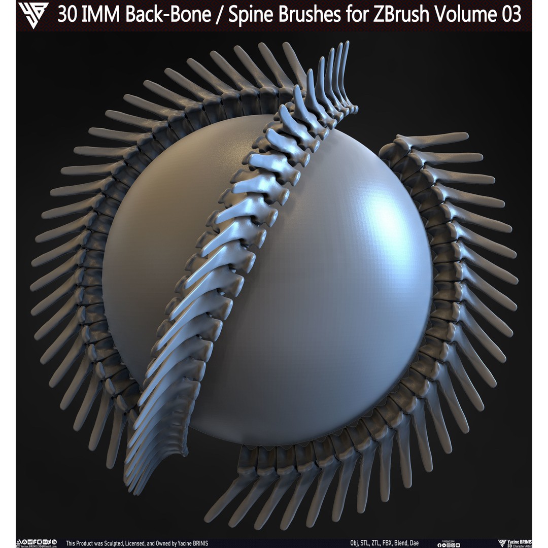 30 IMM Back-Bone 3D Model – Low Poly ZBrush Brushes for Anatomy - View 7